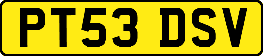 PT53DSV