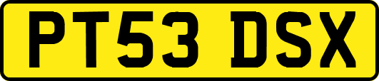 PT53DSX