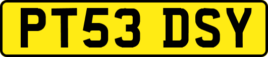 PT53DSY