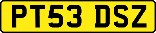PT53DSZ