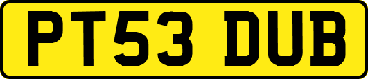 PT53DUB