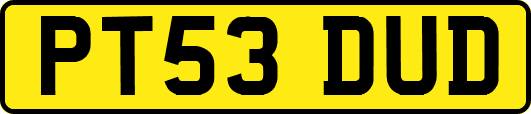 PT53DUD