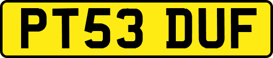PT53DUF