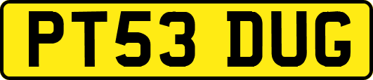 PT53DUG