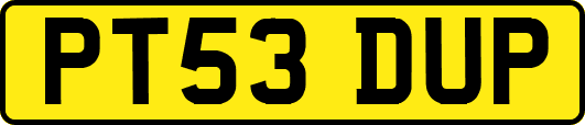 PT53DUP