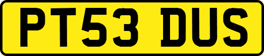 PT53DUS