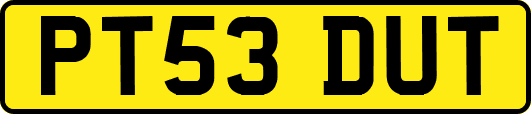PT53DUT