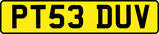 PT53DUV