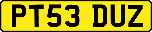 PT53DUZ