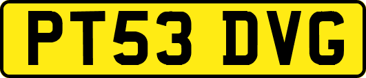 PT53DVG