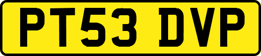 PT53DVP