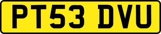 PT53DVU