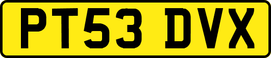 PT53DVX