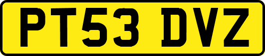 PT53DVZ