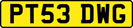 PT53DWG