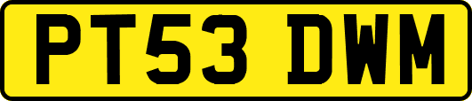 PT53DWM
