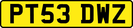 PT53DWZ