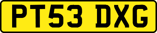 PT53DXG
