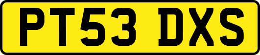 PT53DXS