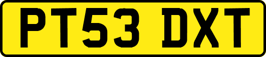 PT53DXT