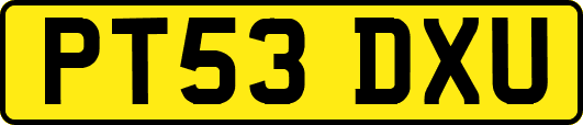 PT53DXU