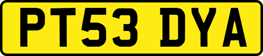 PT53DYA