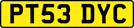 PT53DYC