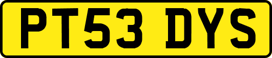PT53DYS