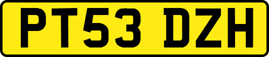 PT53DZH