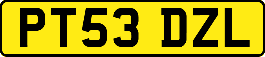 PT53DZL