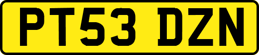 PT53DZN