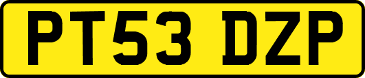 PT53DZP