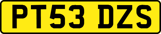 PT53DZS