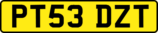 PT53DZT