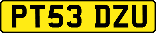PT53DZU