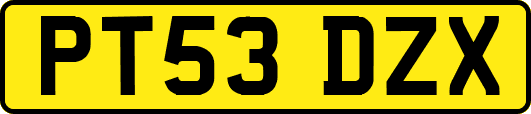 PT53DZX