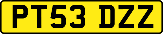 PT53DZZ