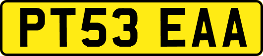 PT53EAA