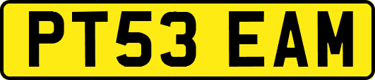 PT53EAM