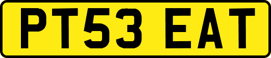 PT53EAT