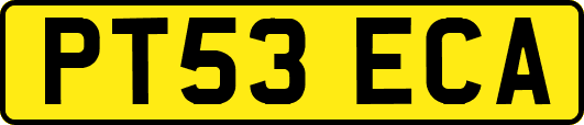 PT53ECA