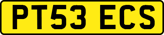 PT53ECS