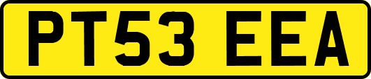 PT53EEA