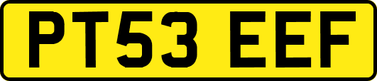 PT53EEF