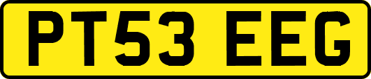 PT53EEG