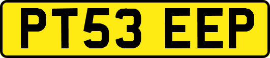 PT53EEP