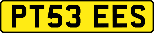 PT53EES