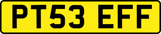 PT53EFF