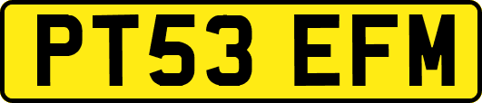 PT53EFM