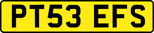 PT53EFS